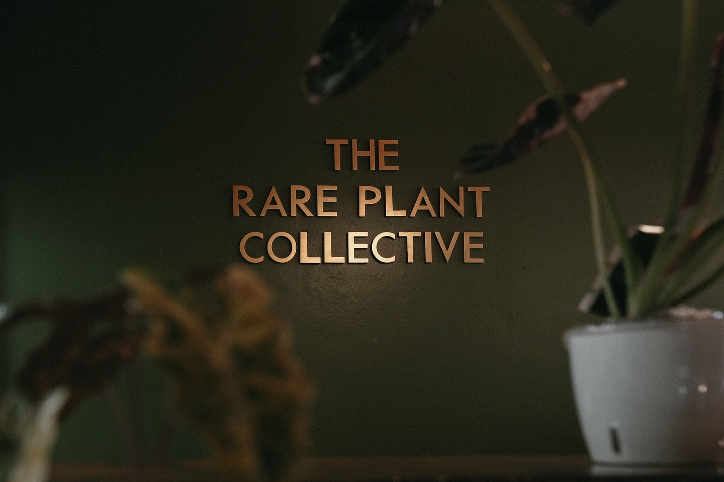 Plant Accessories