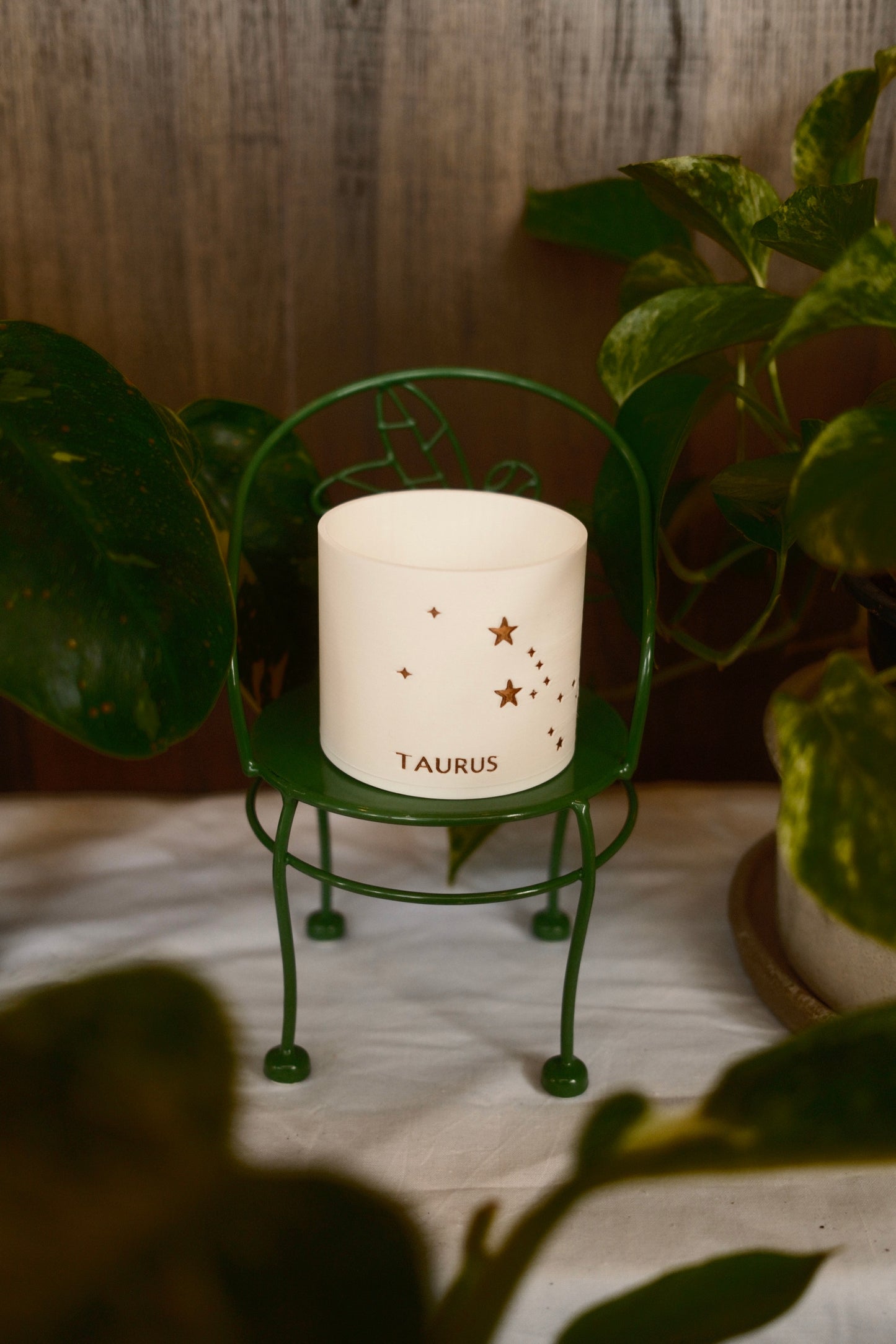 Prairie City Printing - Zodiac Small Succulent Planter