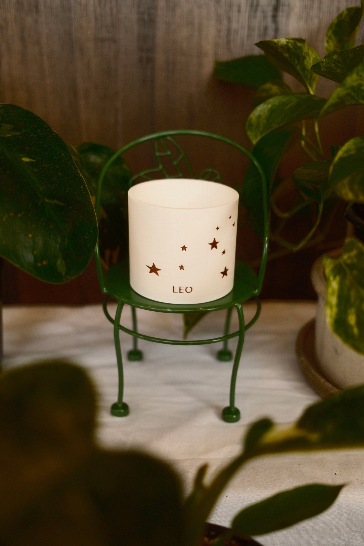 Prairie City Printing - Zodiac Small Succulent Planter