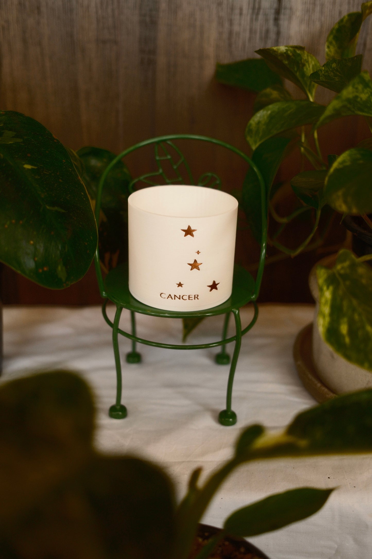 Prairie City Printing - Zodiac Small Succulent Planter