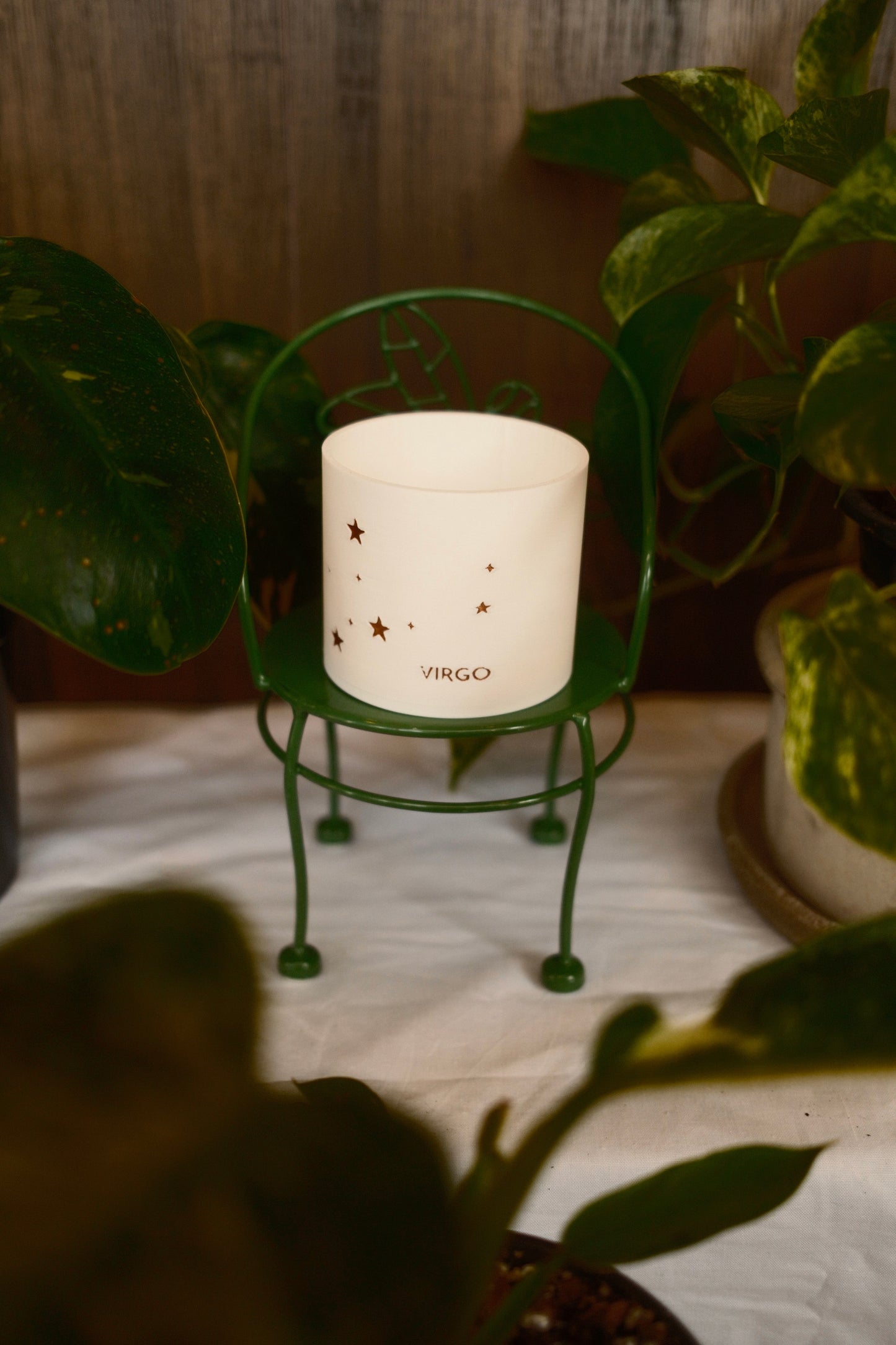 Prairie City Printing - Zodiac Small Succulent Planter