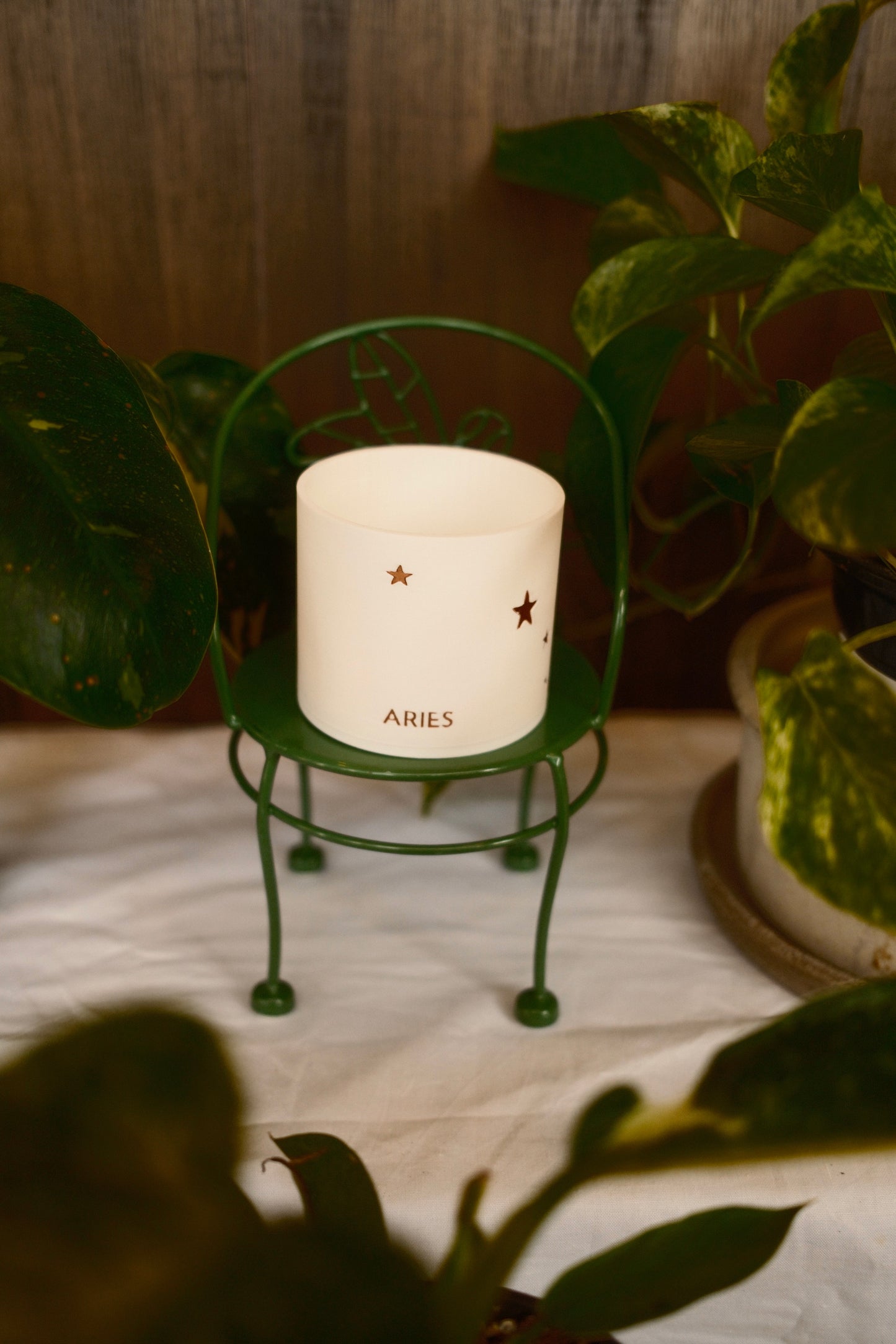 Prairie City Printing - Zodiac Small Succulent Planter