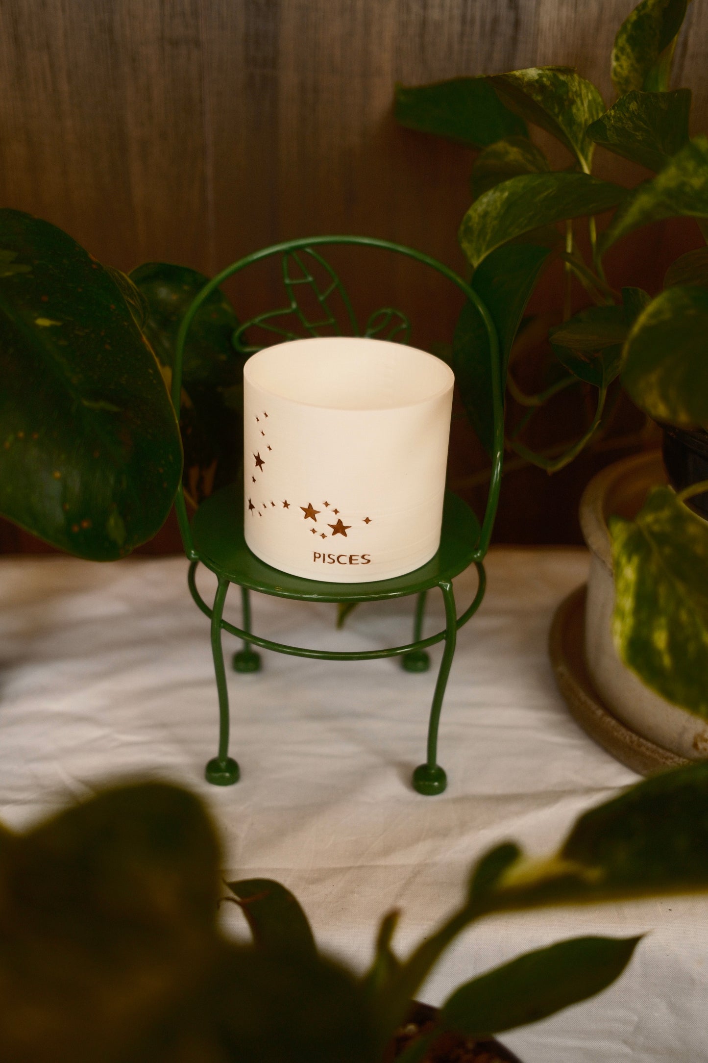 Prairie City Printing - Zodiac Small Succulent Planter