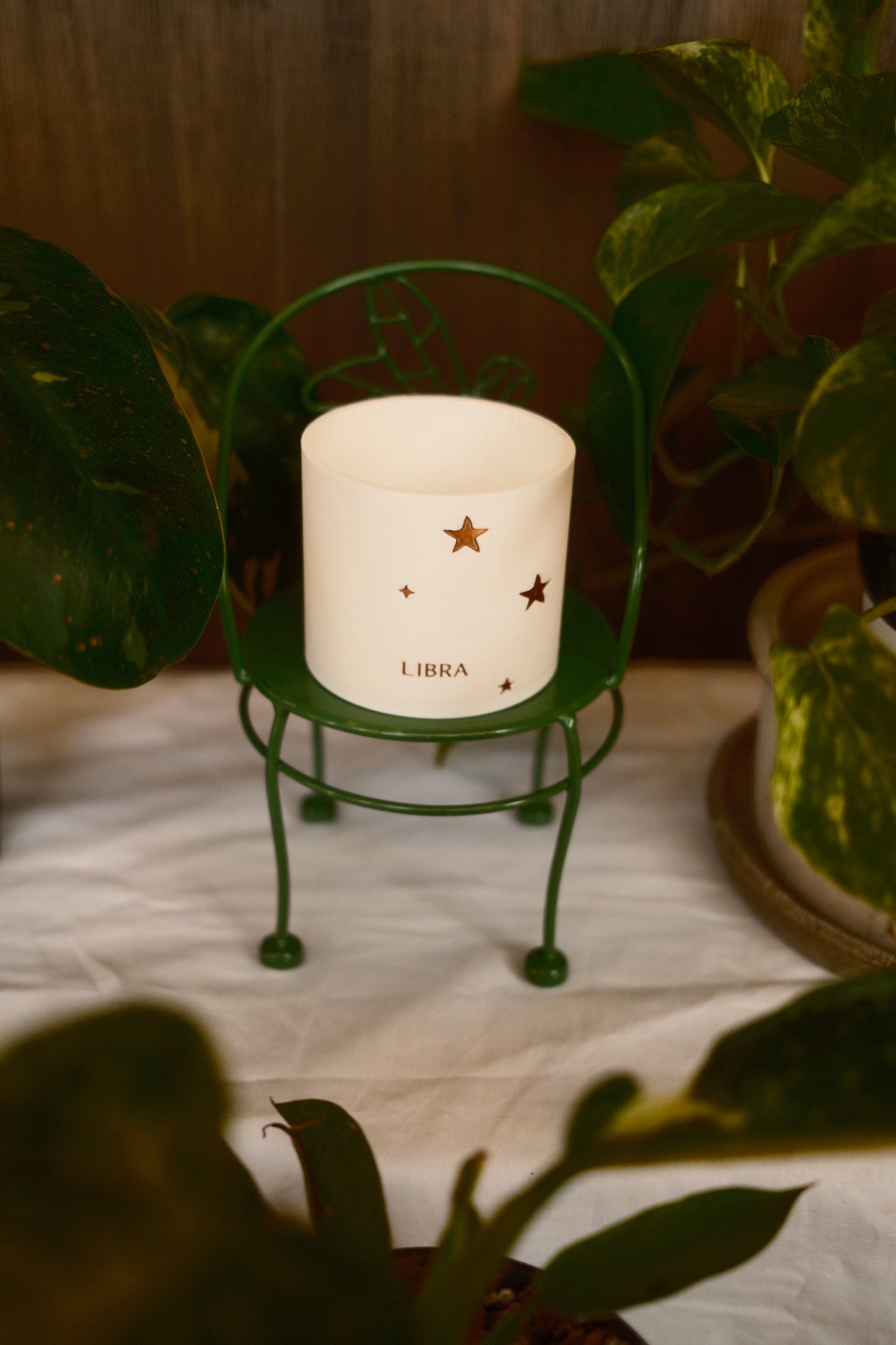 Prairie City Printing - Zodiac Small Succulent Planter