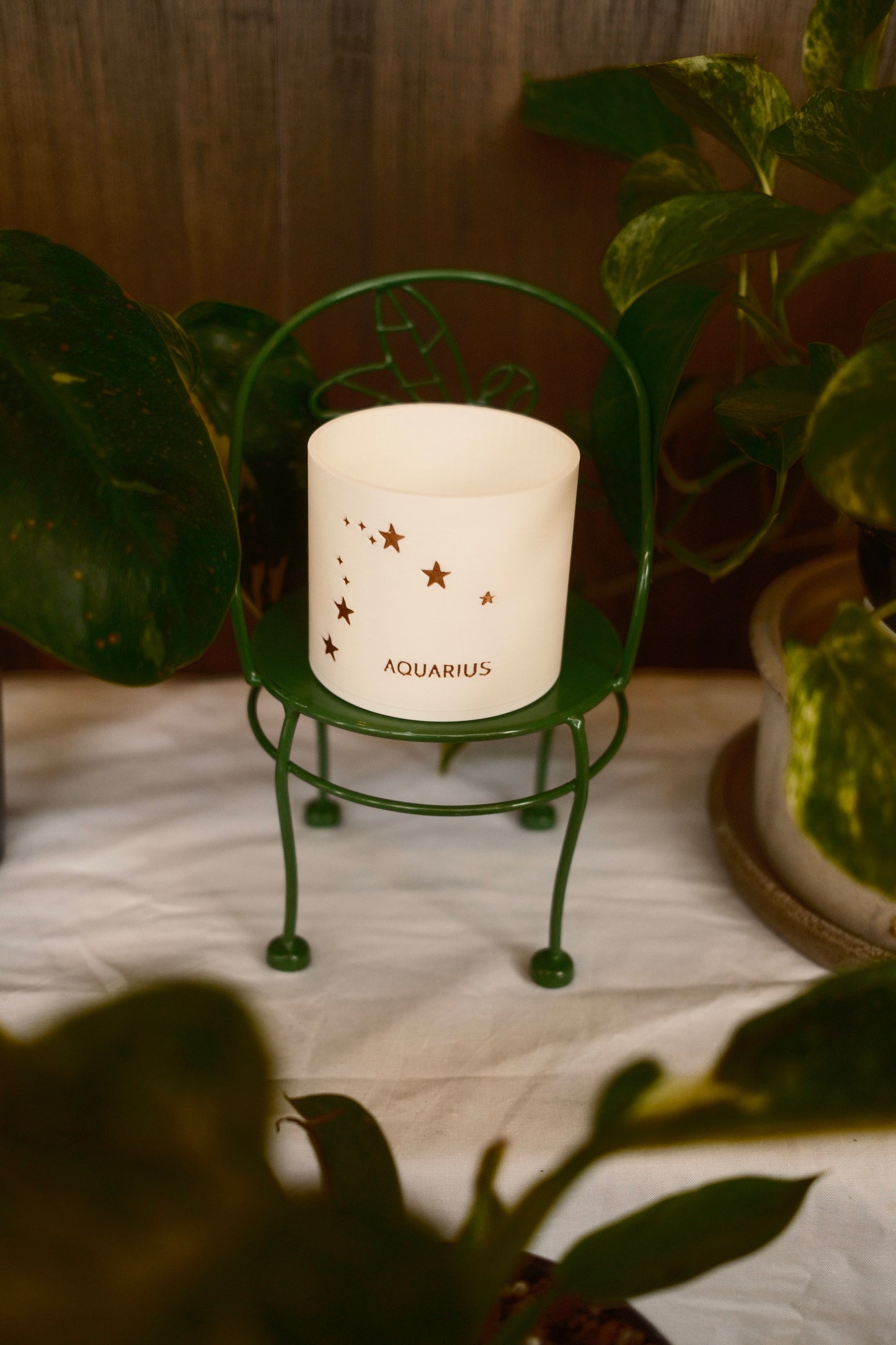 Prairie City Printing - Zodiac Small Succulent Planter