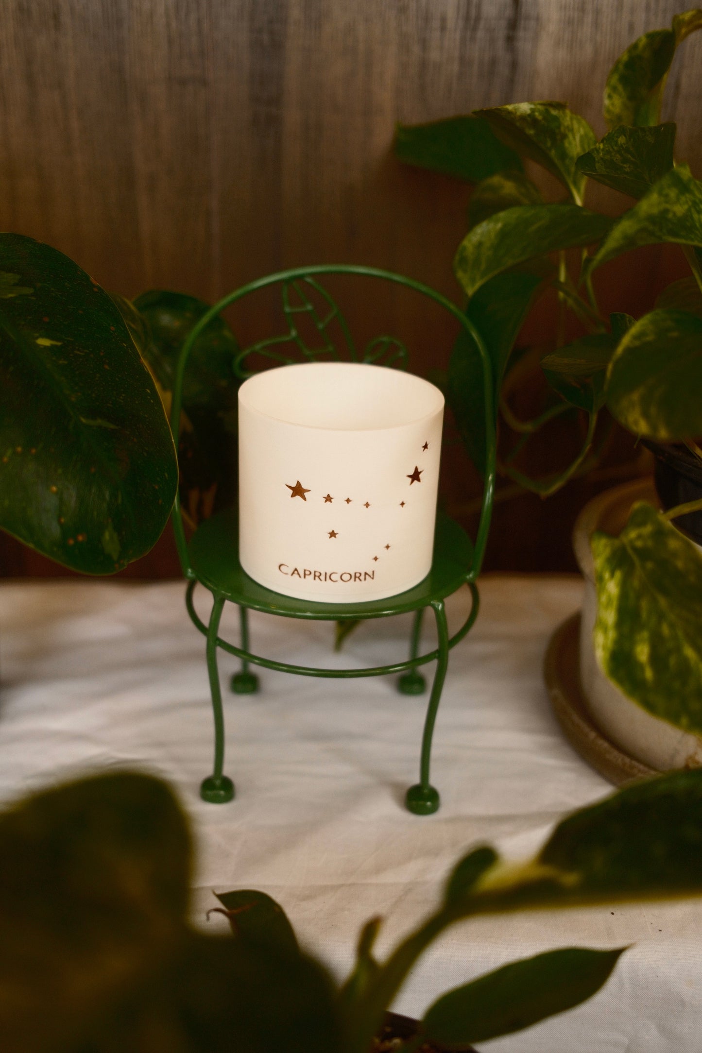 Prairie City Printing - Zodiac Small Succulent Planter