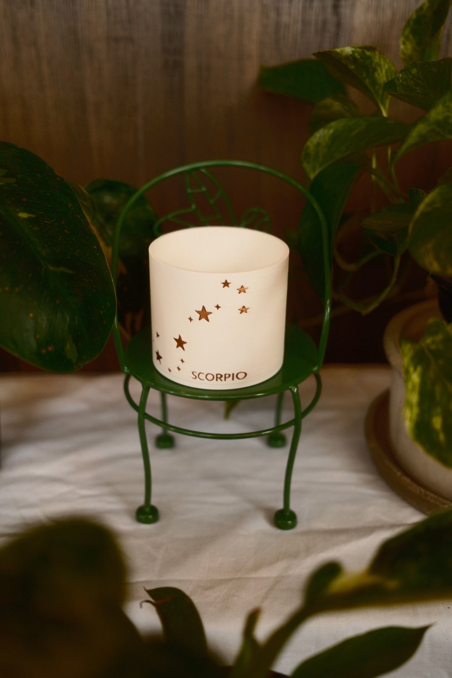 Prairie City Printing - Zodiac Small Succulent Planter