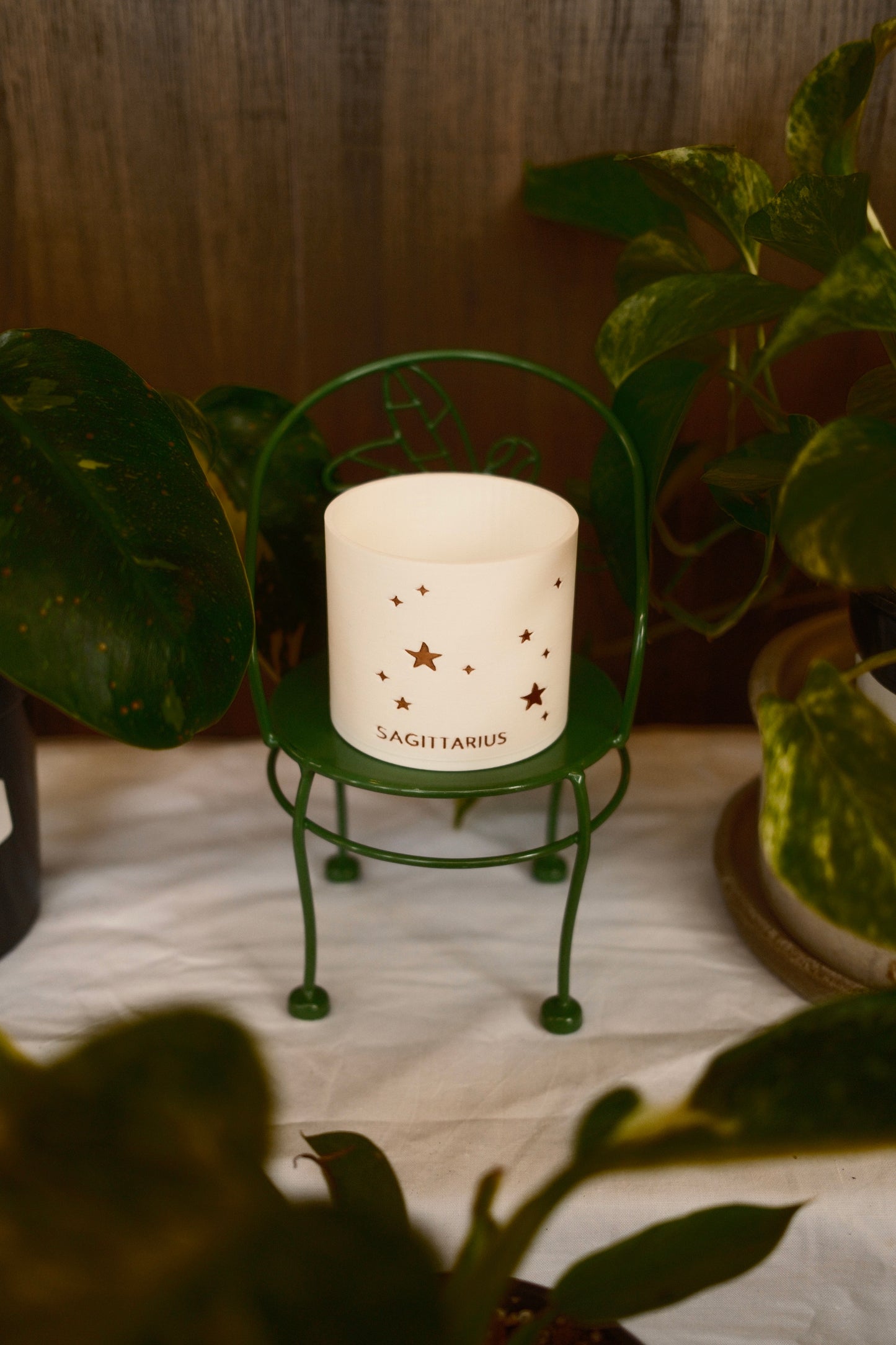 Prairie City Printing - Zodiac Small Succulent Planter