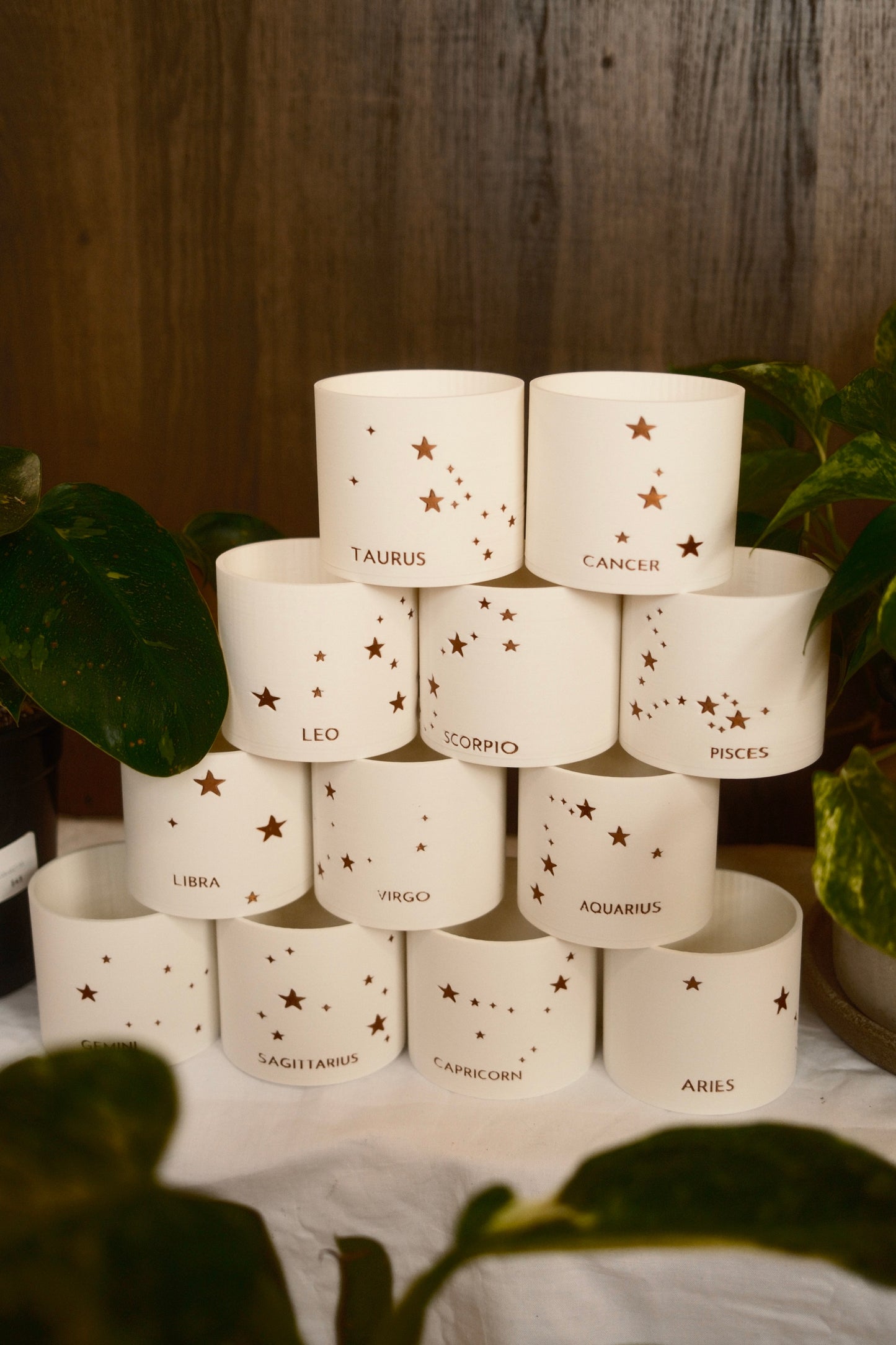 Prairie City Printing - Zodiac Small Succulent Planter