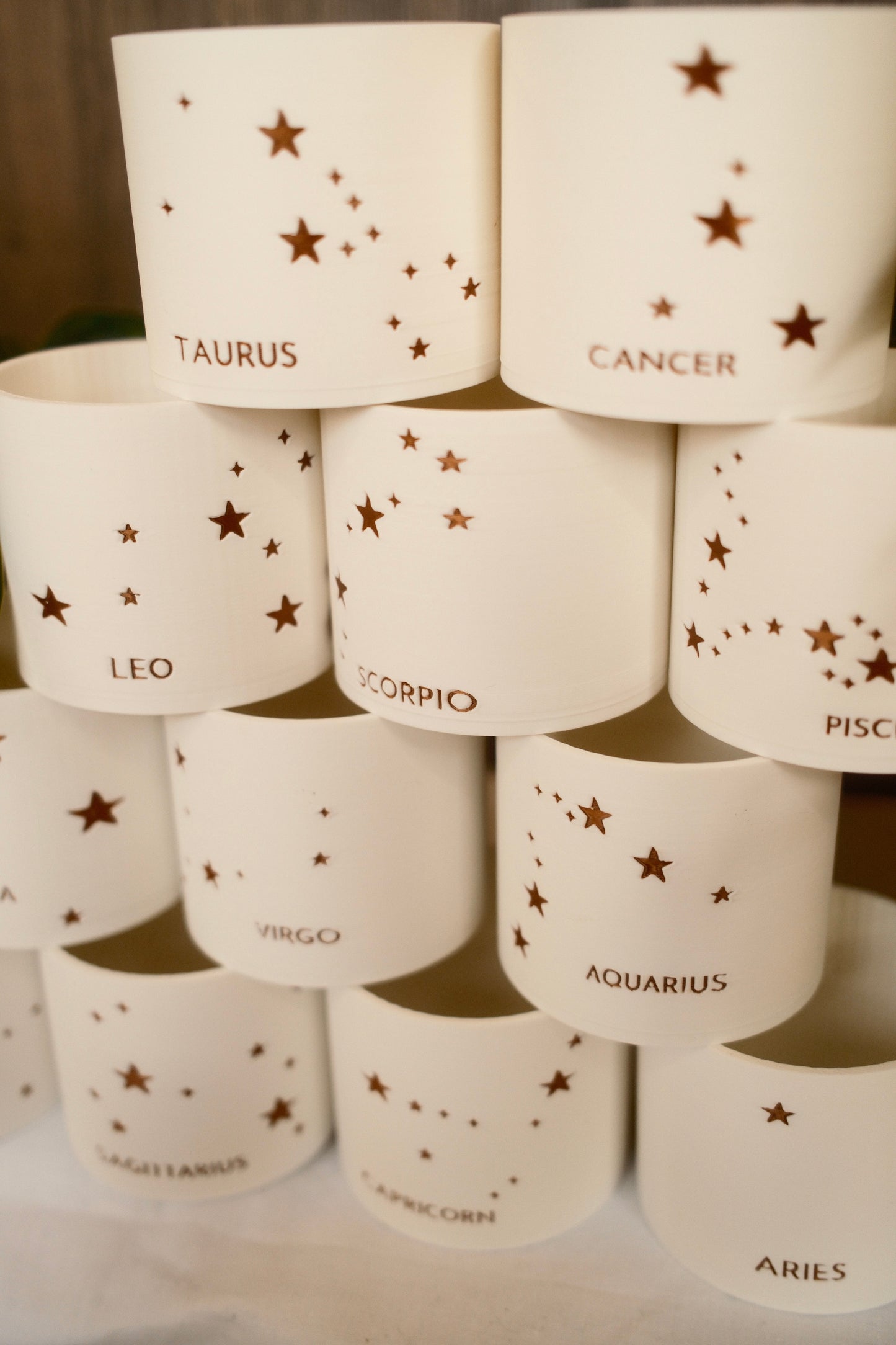 Prairie City Printing - Zodiac Small Succulent Planter